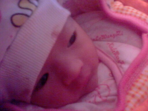 ������������������������