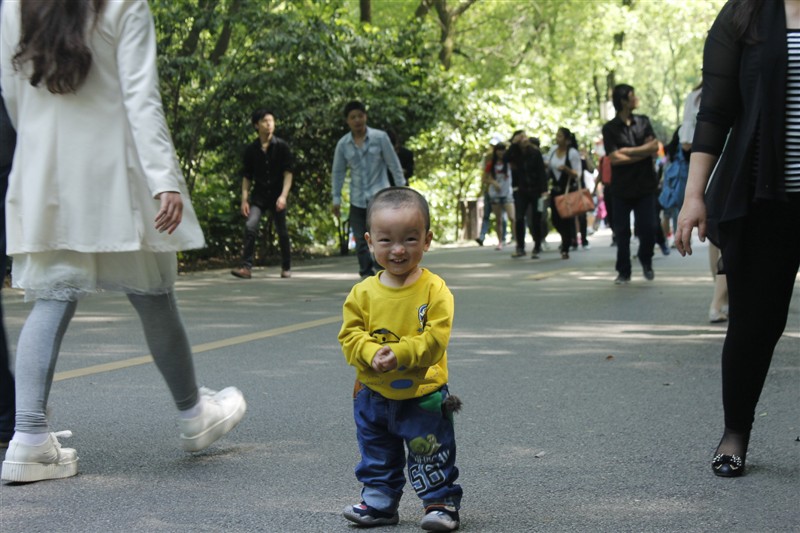 ����С���� 