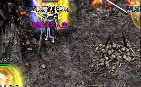 ������ŵ�SB������